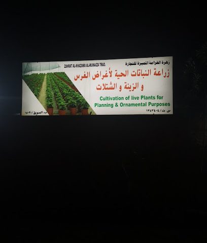 مشتل زهرة الخزانة المميزة للتجارة - تاوي بيدي جيش -