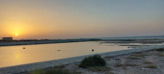 نقطة طيور النحام - مسقط -