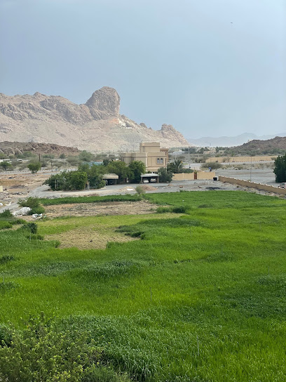 جبيجبة - Oman|Al Hamra|مشتل الحمراء، Unnamed Road
