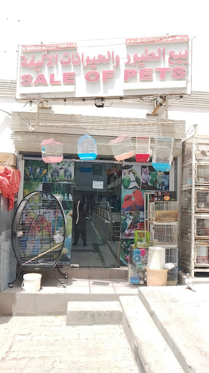 محل الحيوانات الأليفة - Oman|Seeb|J64G+P39