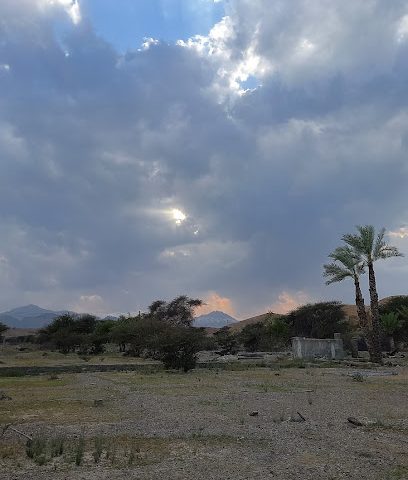 مزرعة المرحوم سويدان بن راشد البادي - الهشيم ، -
