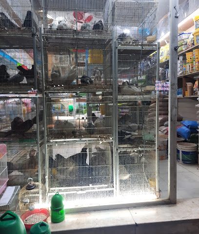 Pet Shop Ruwi عبق السدر لتجارة الحيوانات و الطيوز - مسقط -