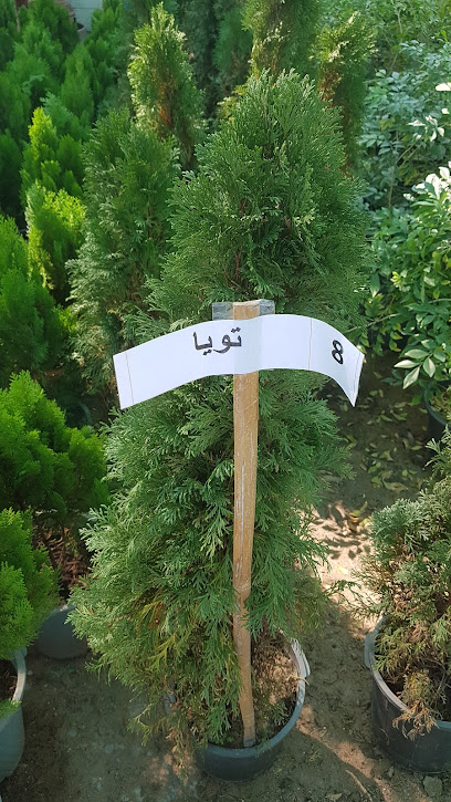 مشتل الآفاق - Oman|Seeb|M4JQ+9V5