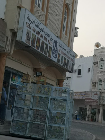 تجارة الطيور أسماك الزينه والحيوانات الاليفه - Oman|Sur|Unnamed Road|HG9F+XM9