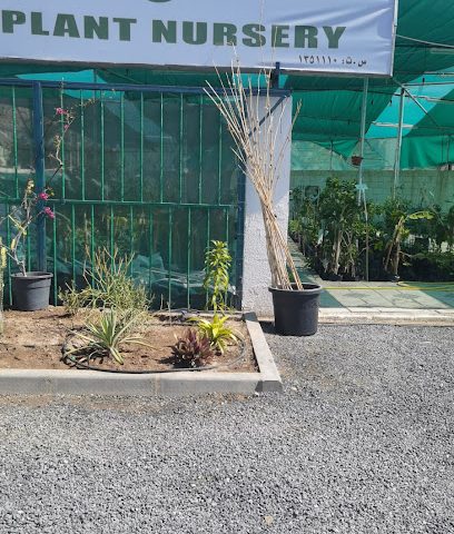 مشتل الباسقات - نزوى - +968 9541 3344