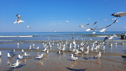 شاطئ السيب - السيب ، -