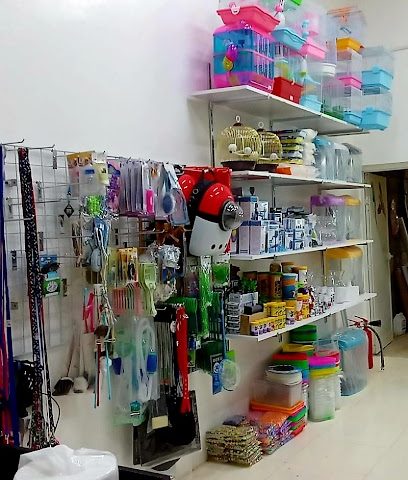 حيوانات الراكون - البريمي - +968 9630 1169