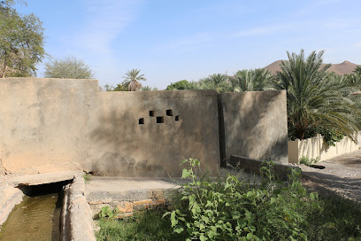 مجازه الرنجسين - بركة الموز -