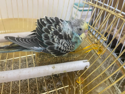 عيادة Petmania البيطرية عيادة بت مانيا البيطرية - مسقط - +968 9969 2509