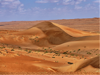 سر العربية - مكتب بريد بدية صندوق بريد 122 صندوق بريد 122 بدية OM - +968 9725 5294
