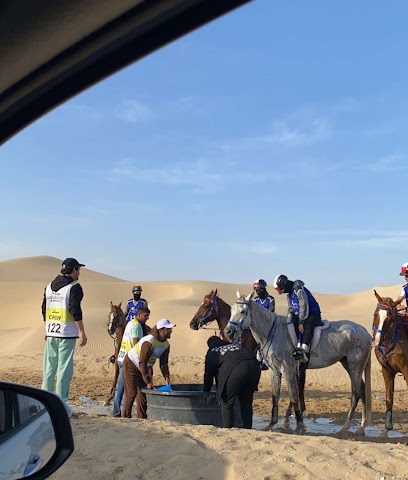 اسطبلات الجوهرة - بركاء - +968 9690 6612