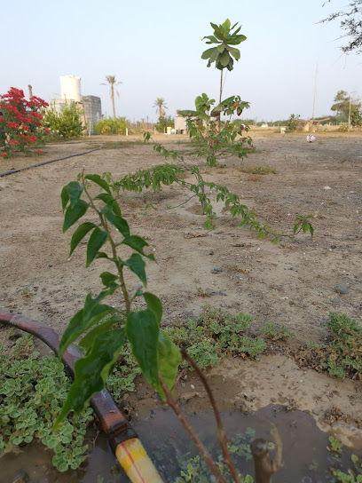 جنة الاسرار - Oman|Dawanji|HGQQ+4W