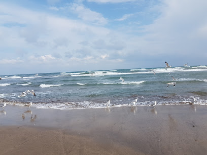 ملعب الشاطئ - السيب - +968 9886 5886