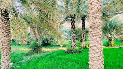 نزوى فرق نزوى - نزوى -