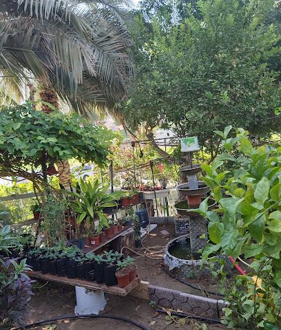 مشتل نباتات ما شاء الله - عسل و بط عضوي / بيض دجاج - مسقط - +968 7955 7763
