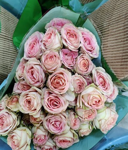 زهور الفردوس للأعمال ذ - السيب - +968 7902 0660