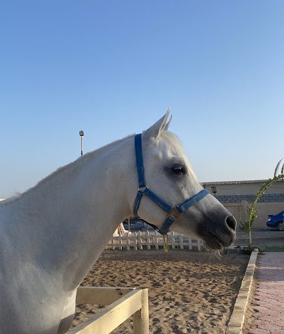 مستقر أزرق - بركاء -