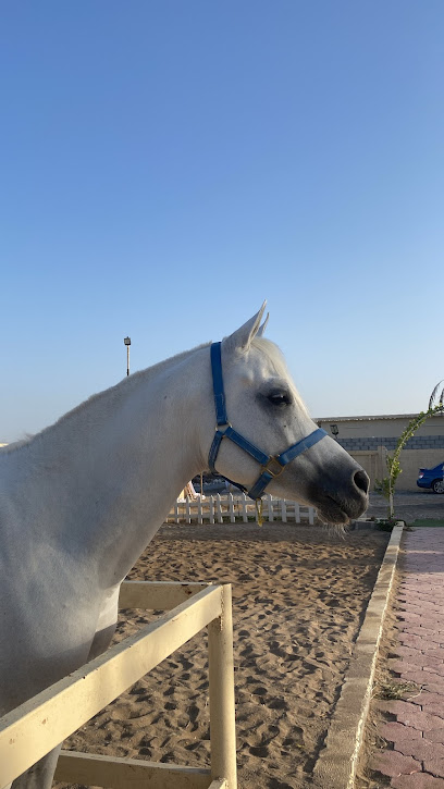 مستقر أزرق - Oman|Barka|PV23+PJ6