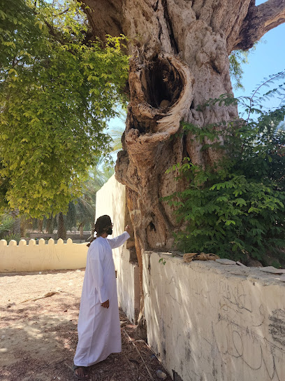 الصبارة - Oman|آدم،|9GMG+MC9،|9GMG+89Q
