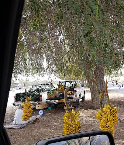 بائع فواكه موسمية - الخابورة -