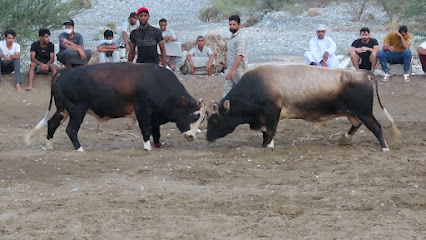 حايط الرستاق - ولاية الرستاق ، -