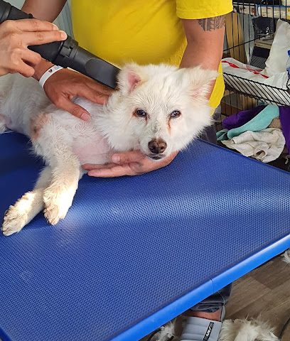 مركز H&L Grooming - السيب - +968 9508 4559